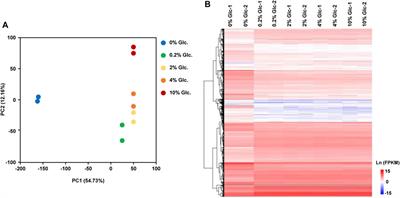 Genome-wide transcription landscape of citric acid producing Aspergillus niger in response to glucose gradient